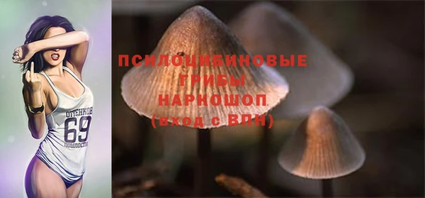 кристаллы Богданович