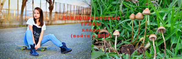 мдма Богородицк