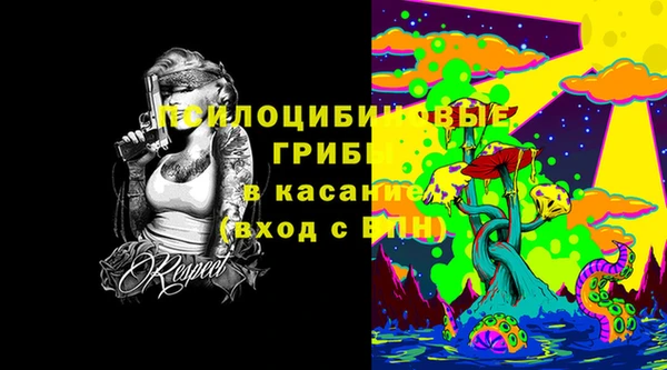 мдма Богородицк