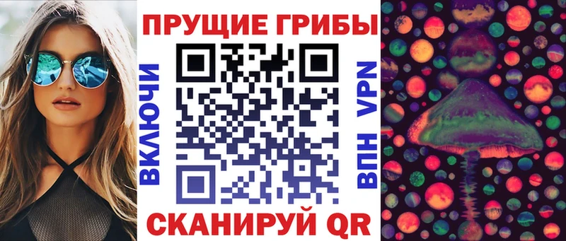 Псилоцибиновые грибы мухоморы blacksprut онион Донецк